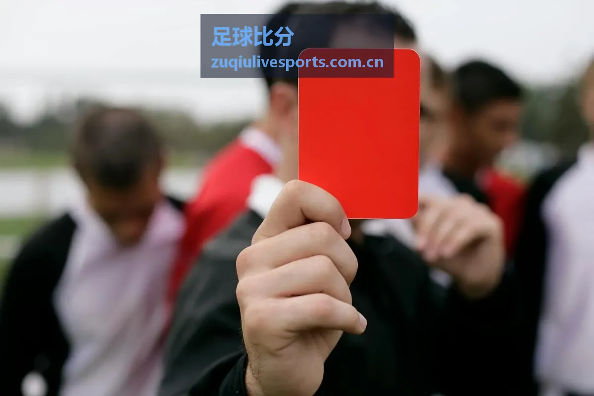 足球比分球队状态追踪数据面板展示近期球队表现走势